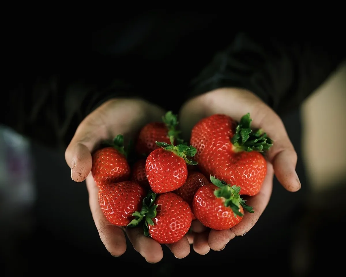 いちごハウス木場のアバター
